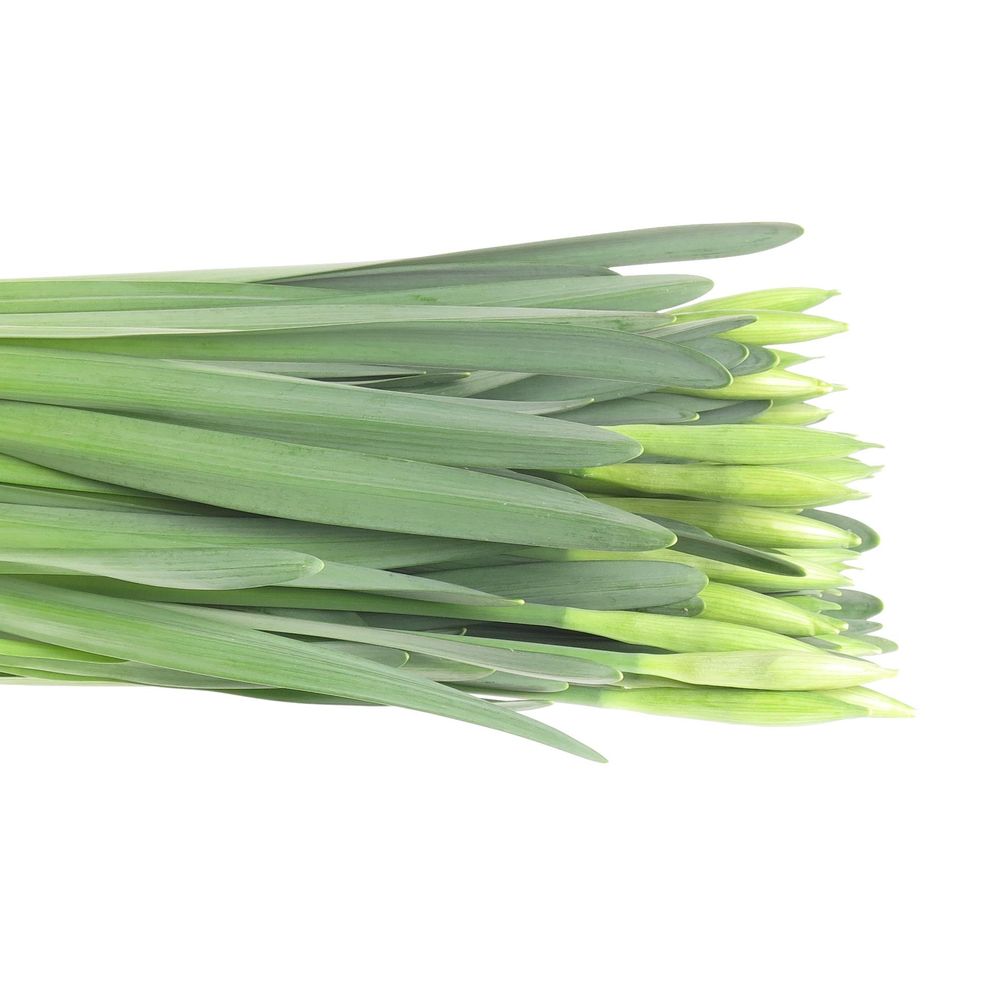 Narcis weiss Wedding 40cm