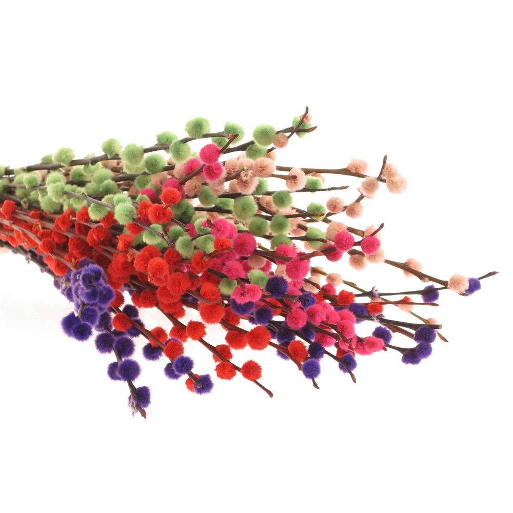 Kätzchen mix gefärbt 50cm