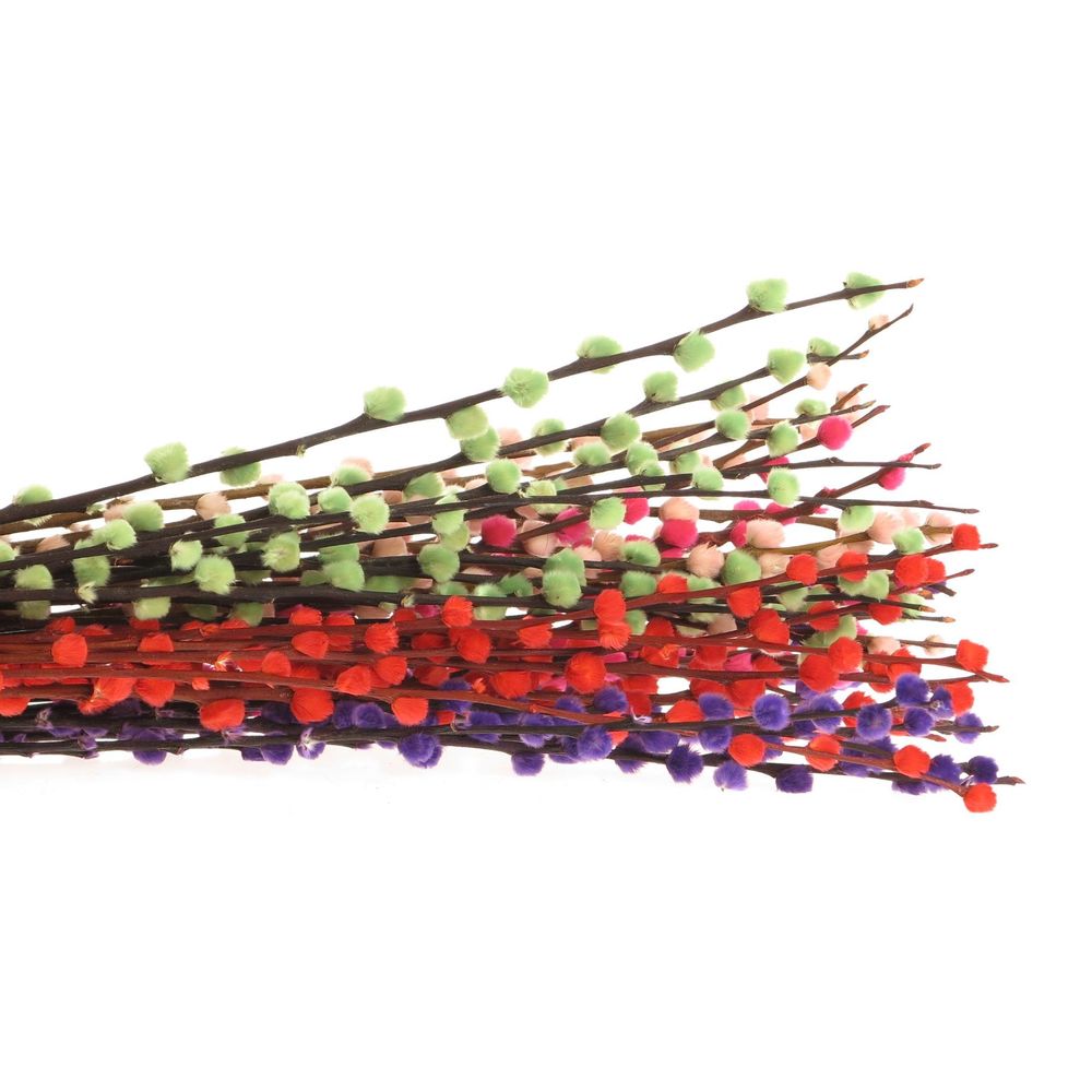 Kätzchen mix gefärbt 50cm