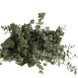 Populus grau/grün rund 150 Gramm 40cm