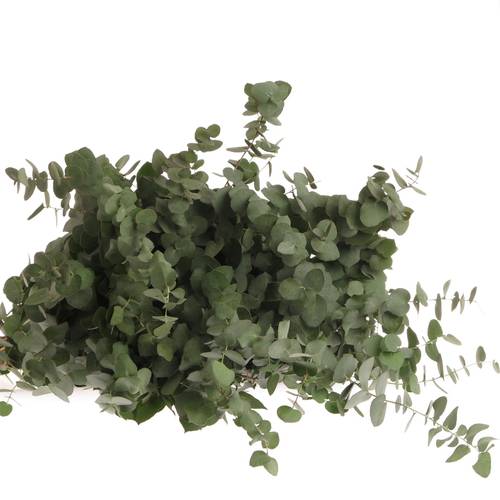 Populus grau/grün rund 150 Gramm 40cm