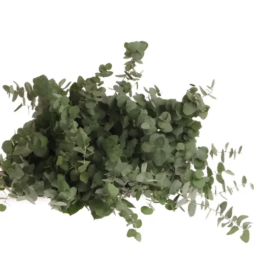 Populus grau/grün rund 150 Gramm 40cm