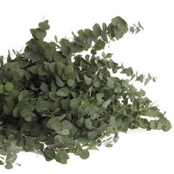 Populus grau/grün rund 150 Gramm 40cm