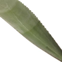 Agave Blatt dunkel grün 80cm