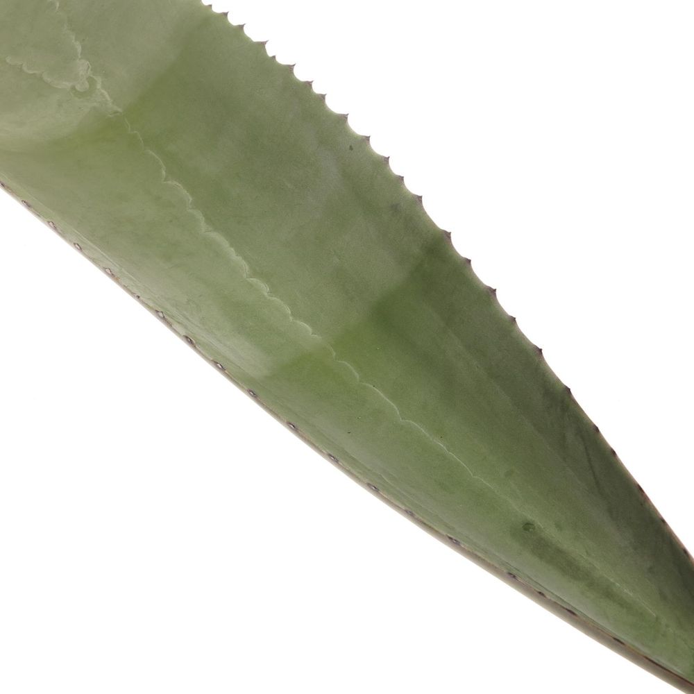 Agave Blatt dunkel grün 80cm