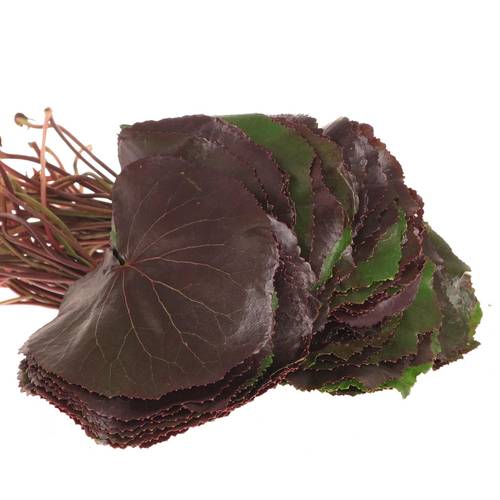 Galaxy Blatt rot/grün Stiele 20cm+