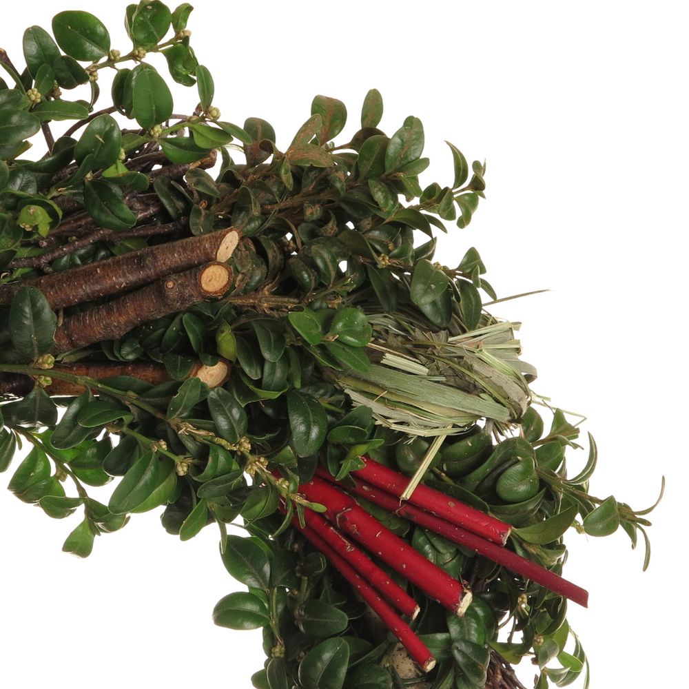 Kranz Cornus/Birke/Bux D25cm (N740)