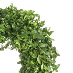 Kranz grün Buchs D25cm (123)