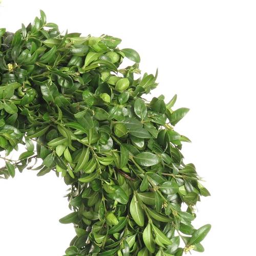 Kranz grün Buchs D25cm (123)