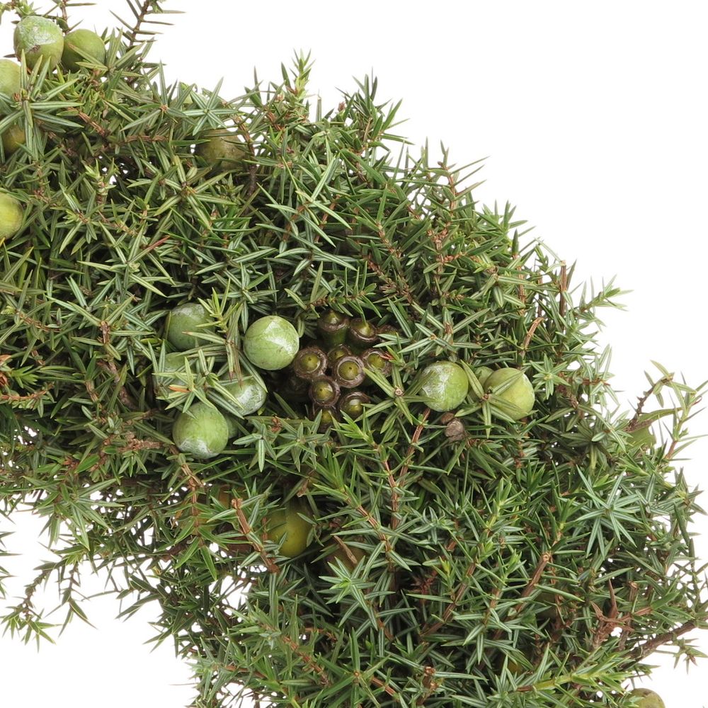 Kranz Jenever mix frücht D30cm