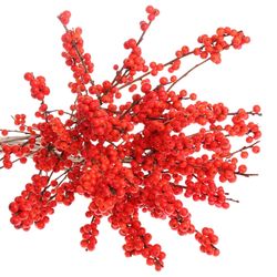Ilex orange Magical Time 60cm