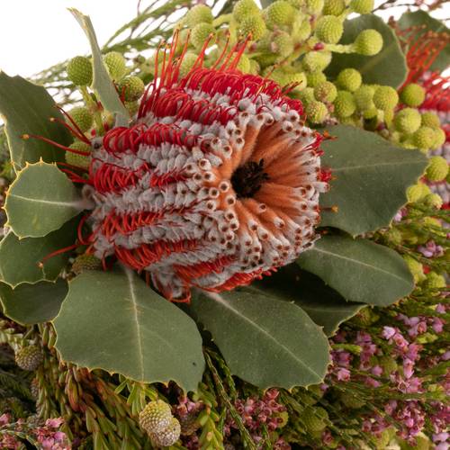 Strauß mix Coccinea 40cm