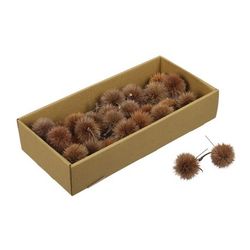 Kartoos/draht Natur 10cm 26st Trocken