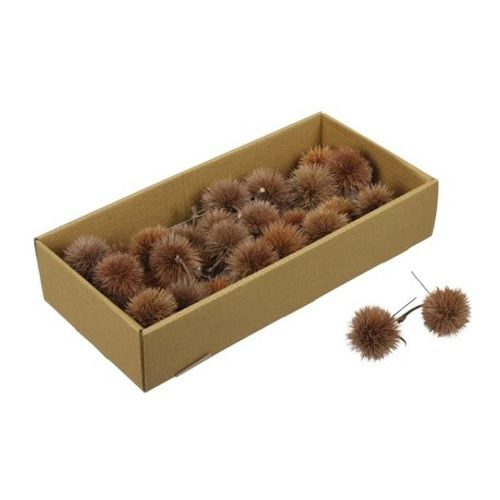 Kartoos/draht Natur 10cm 26st Trocken