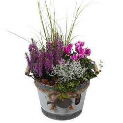 Garten.Arr PTHO7627 Herbst T24 H051