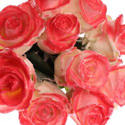 Rose weiss/rot Wachs (W28) 60cm