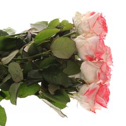 Rose weiss/rot Wachs (W28) 60cm