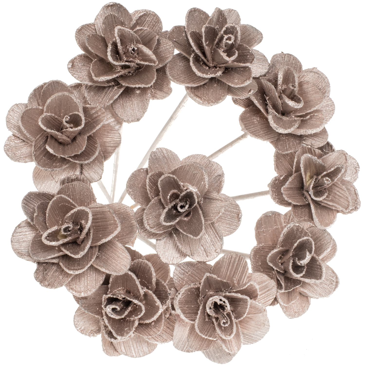 Trocken Beetal Rose auf Stab champagne 50cm 6cm
