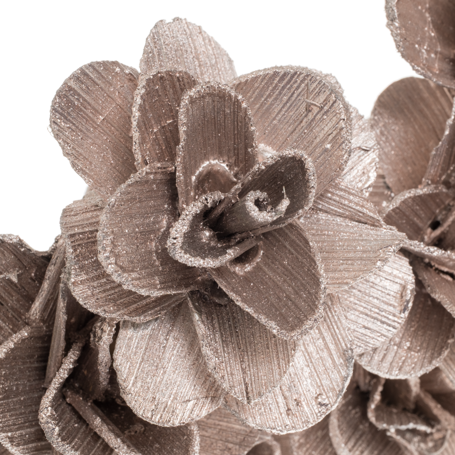 Trocken Beetal Rose auf Stab champagne 50cm 6cm