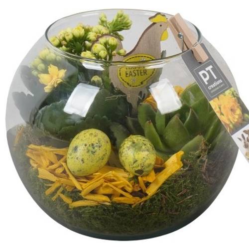 Kal.Arr PTPG9398 Ostern T16 H019