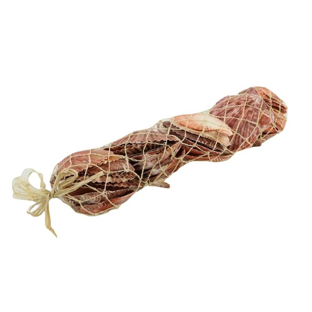 Muscheln Pecten Nobillis natur 600g