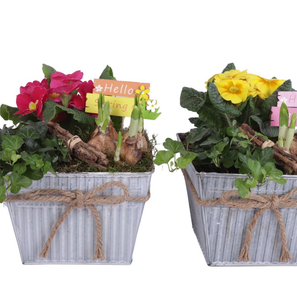 Garten.Arr mix ES619T4024 T19 H020