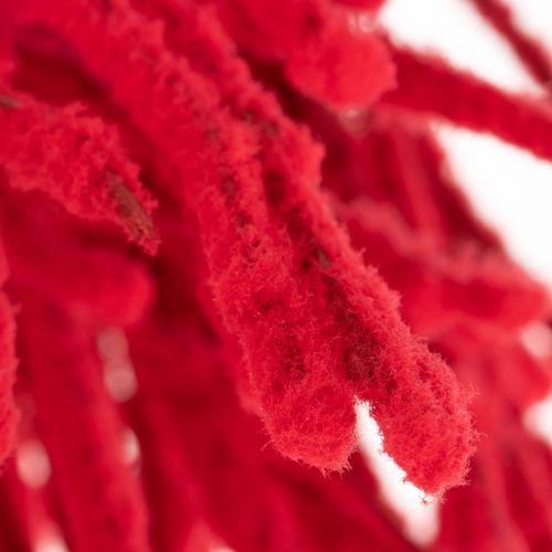 Birke rot Schnee 70cm