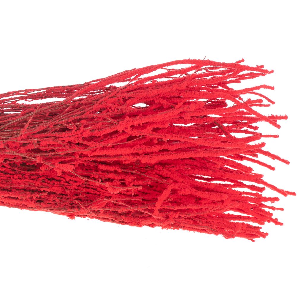 Birke rot Schnee 70cm