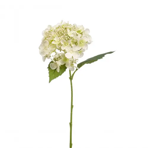 Seiden Hydrangea weiss L50cm 