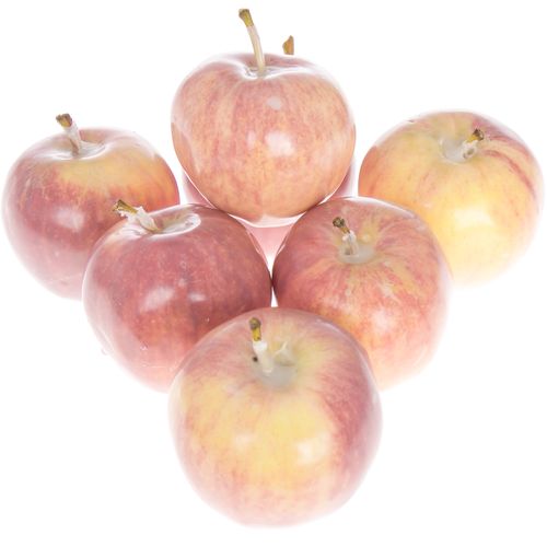 Apfel natur Wachs D5cm