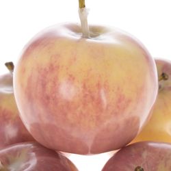 Apfel natur Wachs D5cm