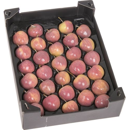 Apfel natur Wachs D5cm