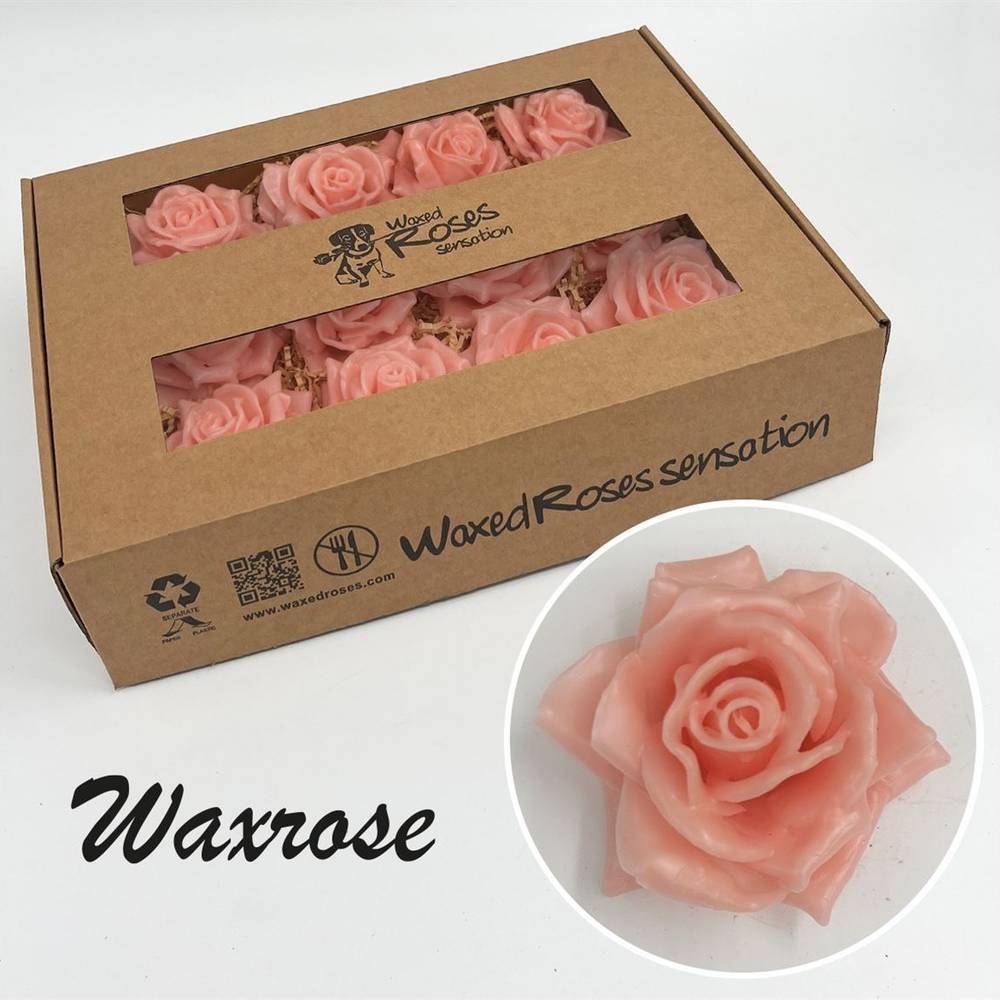 Seiden Wachs Rose hell rosa