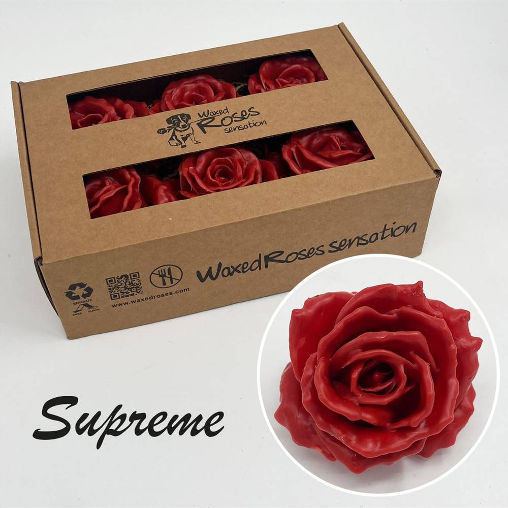 Seiden Wachs Rose Supreme karamell