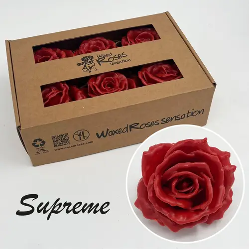 Seiden Wachs Rose Supreme karamell