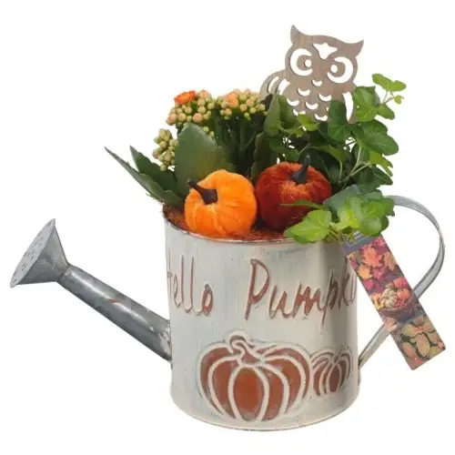 Kal.Arr PTHI5341 Herbst T12 H023