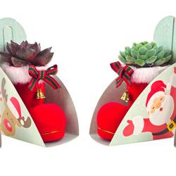 Weihn.Arr mix Schuh rot T08