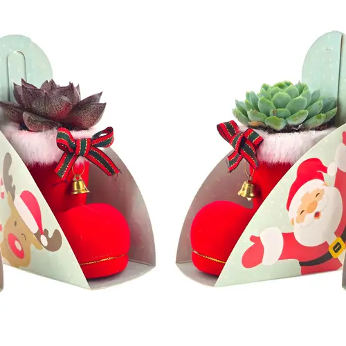 Weihn.Arr mix Schuh rot T08