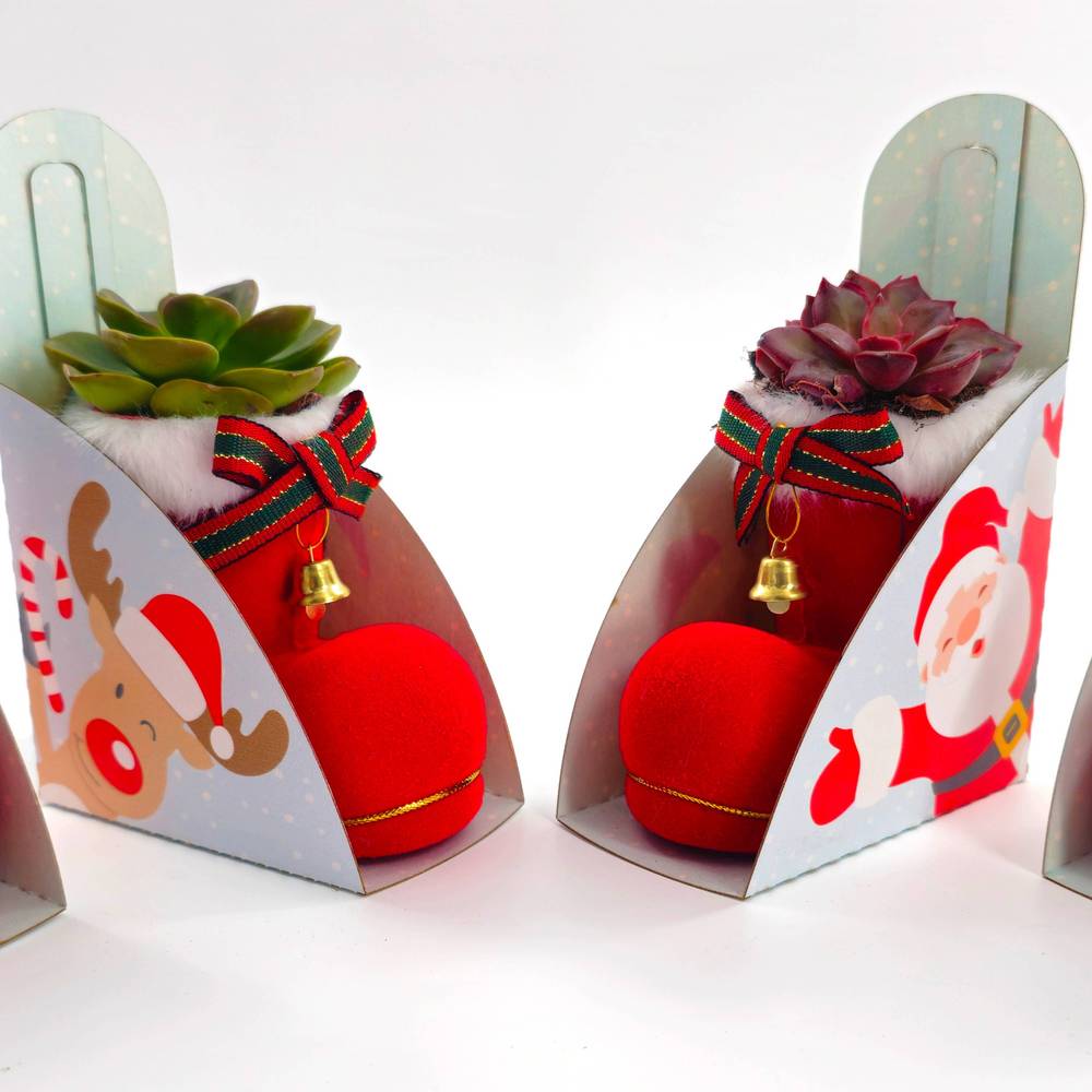 Weihn.Arr mix Schuh rot T08