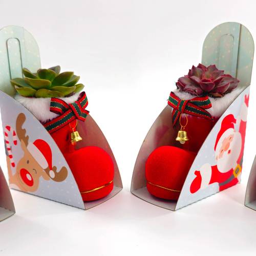 Weihn.Arr mix Schuh rot T08