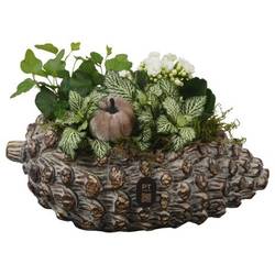 Kal.Arr PTHI3277 Herbst T28 H017