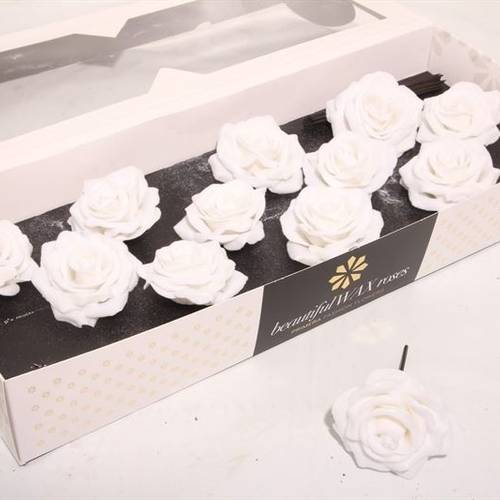 Seiden Wachs Rose weiss schnee d10cm (975)