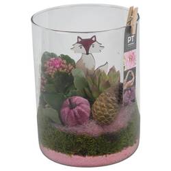 Kal.Arr PTHG3372 Herbst T15 H023