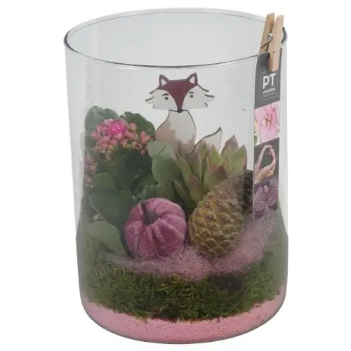 Kal.Arr PTHG3372 Herbst T15 H023