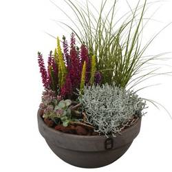 Garten.Arr PTHO7701 Herbst T23 H045