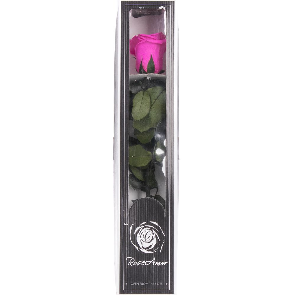 Präparierte Rose lila 30cm Pin-07