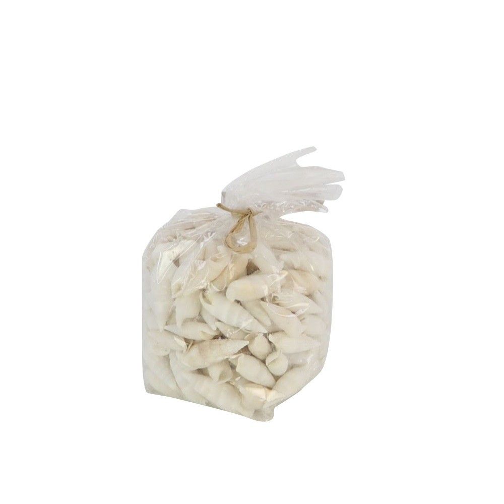 Muscheln Cerethium 750gr Natur