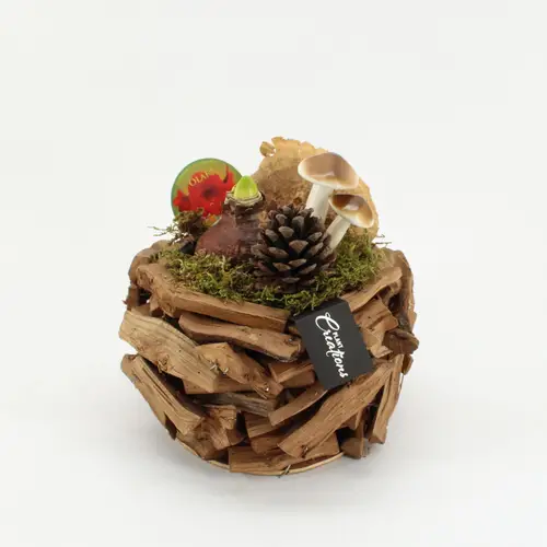 Amaryl.Arr-2518R Herbst rote Bl. T25 H025