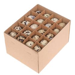 Wachtelei naturel D02cm H03cm 60st