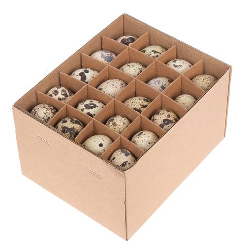 Wachtelei naturel D02cm H03cm 60st
